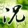 原版圣艾尔奉萨斯学院文凭学位【degxx.com】
